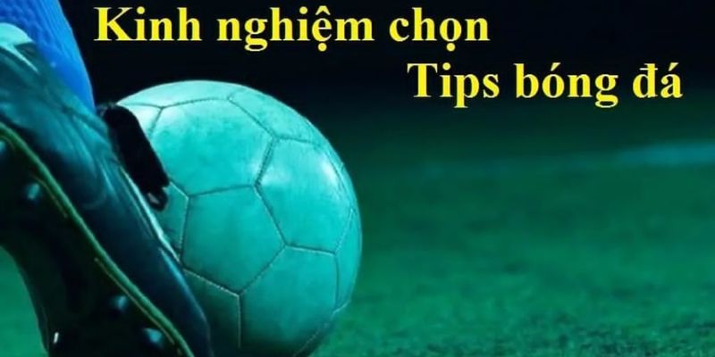 Cách chọn tips bóng đá uy tín