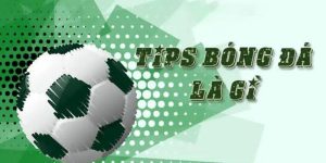 Hiểu biết về các loại tips bóng đá